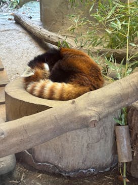 多摩動物公園に投稿された画像（2025/12/8）