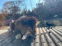 多摩動物公園に投稿された画像（2025/12/8）