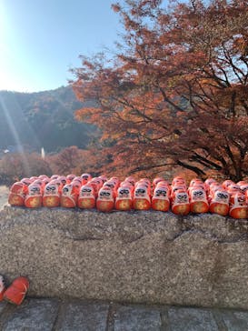 勝尾寺に投稿された画像（2025/12/8）