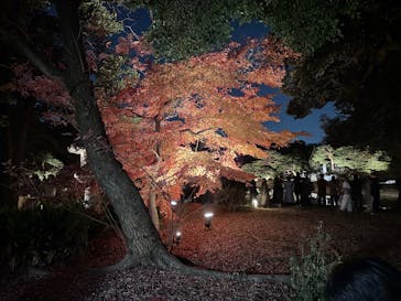 六義園に投稿された画像（2025/12/8）