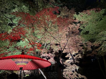 六義園に投稿された画像（2025/12/8）