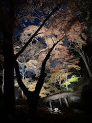 六義園に投稿された画像（2025/12/8）