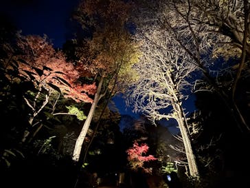 六義園に投稿された画像（2025/12/8）