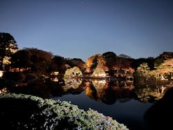 六義園に投稿された画像（2025/12/8）