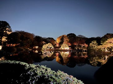 六義園に投稿された画像（2025/12/8）