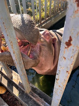 宇都宮動物園に投稿された画像（2025/12/8）
