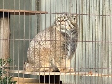 名古屋市東山動植物園に投稿された画像（2025/12/8）