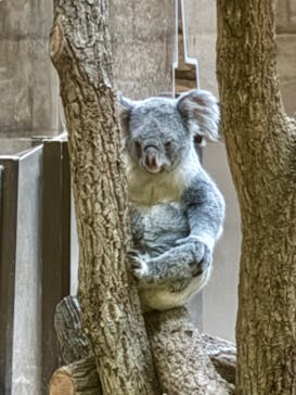 名古屋市東山動植物園に投稿された画像（2025/12/8）