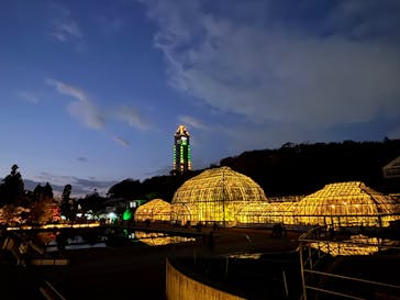 名古屋市東山動植物園に投稿された画像（2025/12/8）