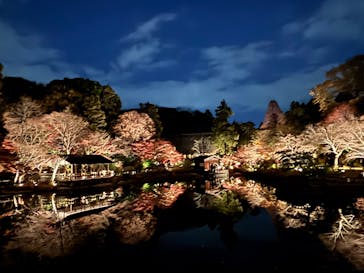 名古屋市東山動植物園に投稿された画像（2025/12/8）