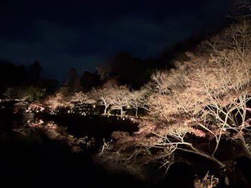 名古屋市東山動植物園に投稿された画像（2025/12/8）