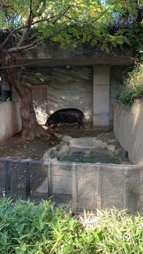 恩賜上野動物園に投稿された画像（2025/12/8）