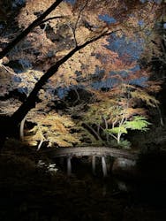 六義園に投稿された画像（2025/12/8）