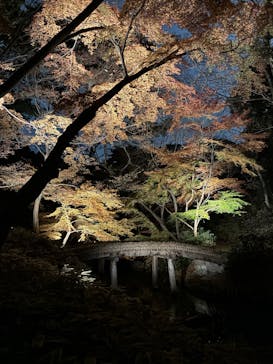 六義園に投稿された画像（2025/12/8）