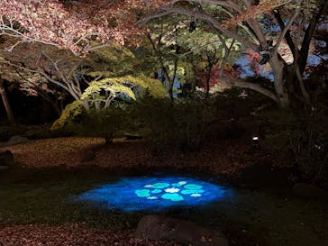 六義園に投稿された画像（2025/12/8）