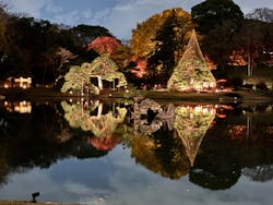 六義園に投稿された画像（2025/12/8）