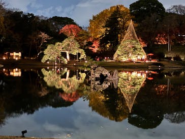 六義園に投稿された画像（2025/12/8）
