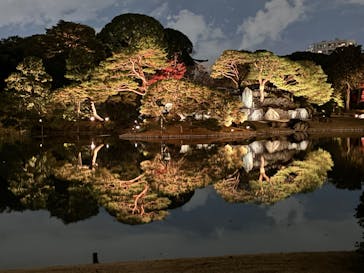 六義園に投稿された画像（2025/12/8）