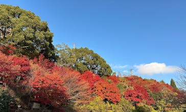 有馬温泉 太閤の湯に投稿された画像（2025/12/9）