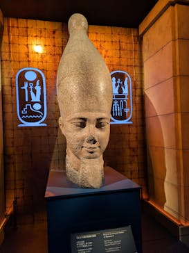 ACN ラムセス大王展 ファラオたちの黄金に投稿された画像（2025/12/9）