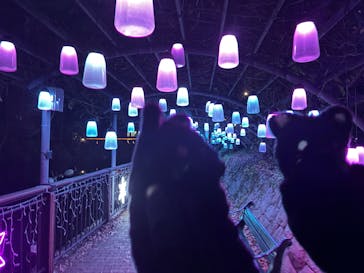 安城産業文化公園デンパークに投稿された画像（2025/12/9）