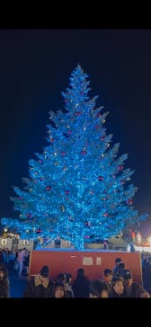 Christmas Market in 横浜赤レンガ倉庫 2025に投稿された画像（2025/12/9）