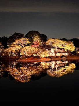 六義園に投稿された画像（2025/12/9）