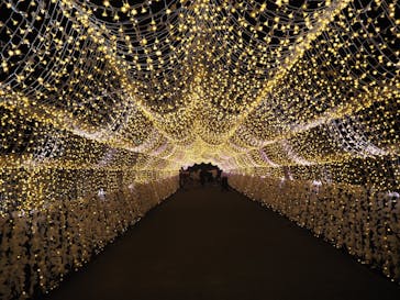 東京メガイルミに投稿された画像（2025/12/9）