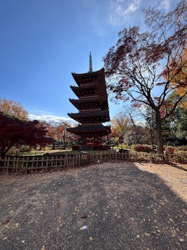 恩賜上野動物園に投稿された画像（2025/12/9）