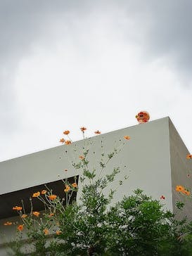 香美市立やなせたかし記念館　(アンパンマンミュージアム＆詩とメルヘン絵本館）に投稿された画像（2025/12/9）