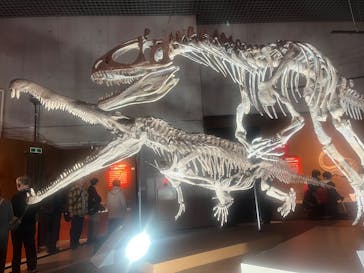 特別展「大絶滅展―生命史のビッグファイブ」に投稿された画像（2025/12/9）