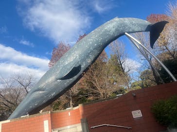 特別展「大絶滅展―生命史のビッグファイブ」に投稿された画像（2025/12/9）