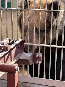 東武動物公園に投稿された画像（2025/12/9）