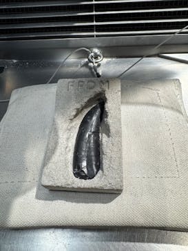 福井県立恐竜博物館に投稿された画像（2025/12/9）