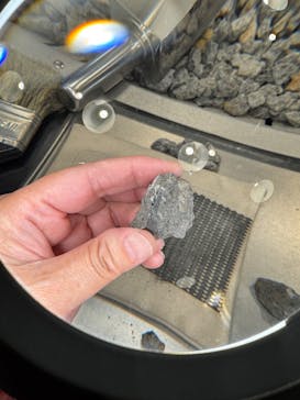 福井県立恐竜博物館に投稿された画像（2025/12/9）