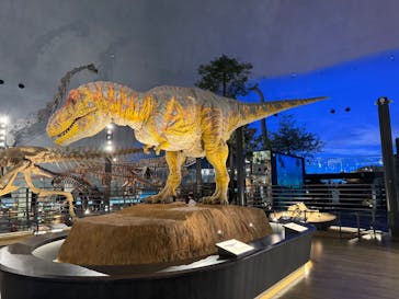 福井県立恐竜博物館に投稿された画像（2025/12/9）