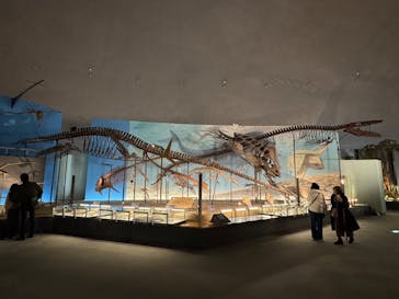 福井県立恐竜博物館に投稿された画像（2025/12/9）