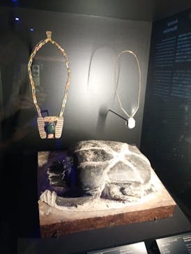 ACN ラムセス大王展 ファラオたちの黄金に投稿された画像（2025/12/9）