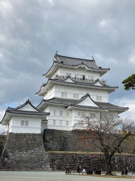 小田原城に投稿された画像（2025/12/9）