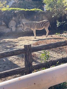 名古屋市東山動植物園に投稿された画像（2025/12/9）