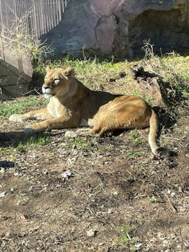名古屋市東山動植物園に投稿された画像（2025/12/9）