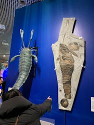 特別展「大絶滅展―生命史のビッグファイブ」に投稿された画像（2025/12/9）