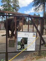 ANIMAL WONDER REZOURT 市原ぞうの国・サユリワールドに投稿された画像（2025/12/9）