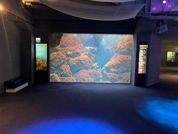 新江ノ島水族館に投稿された画像（2025/12/9）