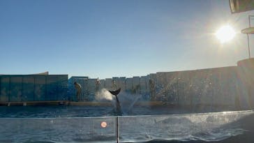 新江ノ島水族館に投稿された画像（2025/12/9）