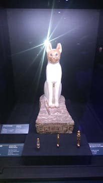 ACN ラムセス大王展 ファラオたちの黄金に投稿された画像（2025/12/9）