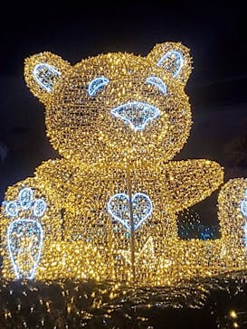 神戸イルミナージュに投稿された画像（2025/12/9）