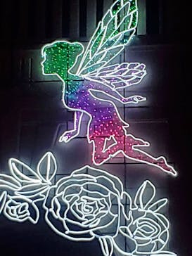 神戸イルミナージュに投稿された画像（2025/12/9）