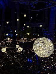 江の島シーキャンドルに投稿された画像（2025/12/9）