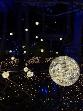 江の島シーキャンドルに投稿された画像（2025/12/9）